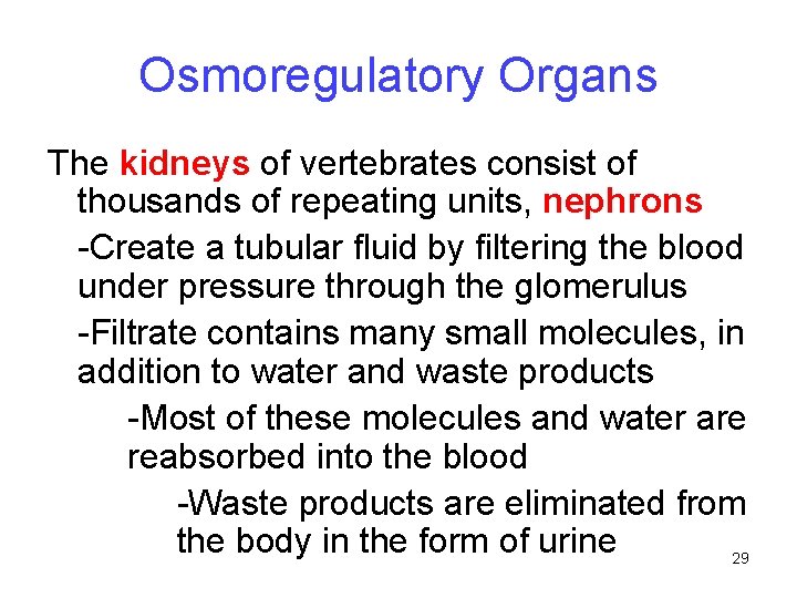 Osmoregulatory Organs The kidneys of vertebrates consist of thousands of repeating units, nephrons -Create