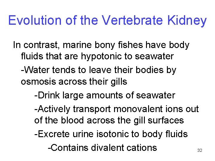 Evolution of the Vertebrate Kidney In contrast, marine bony fishes have body fluids that