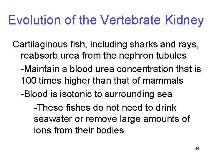 Evolution of the Vertebrate Kidney Cartilaginous fish, including sharks and rays, reabsorb urea from