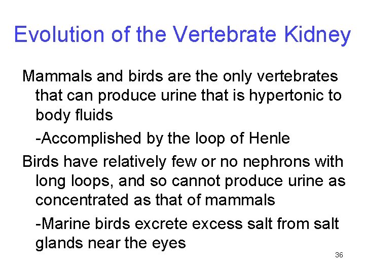 Evolution of the Vertebrate Kidney Mammals and birds are the only vertebrates that can