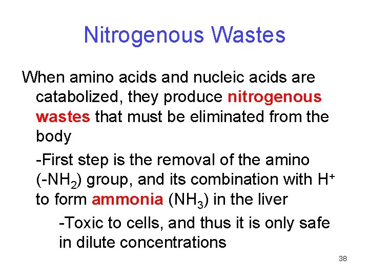 Nitrogenous Wastes When amino acids and nucleic acids are catabolized, they produce nitrogenous wastes