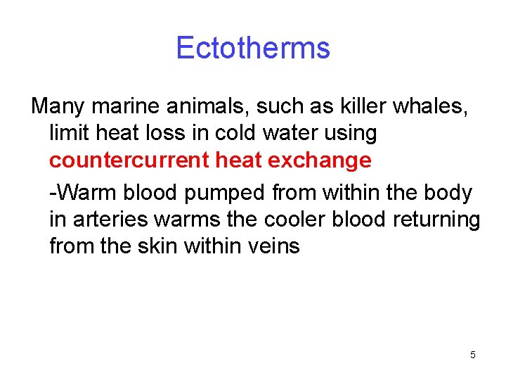 Ectotherms Many marine animals, such as killer whales, limit heat loss in cold water