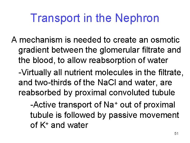 Transport in the Nephron A mechanism is needed to create an osmotic gradient between