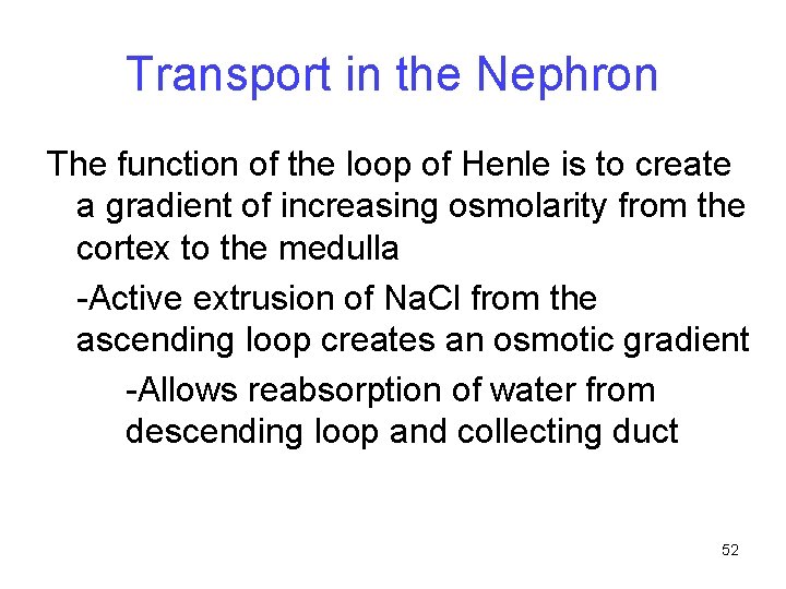 Transport in the Nephron The function of the loop of Henle is to create
