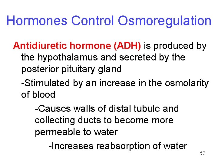 Hormones Control Osmoregulation Antidiuretic hormone (ADH) is produced by the hypothalamus and secreted by