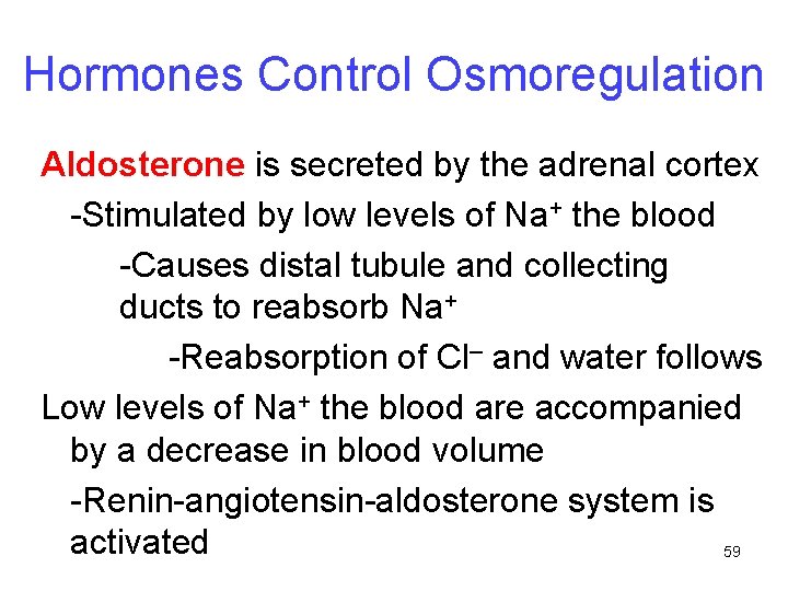 Hormones Control Osmoregulation Aldosterone is secreted by the adrenal cortex -Stimulated by low levels