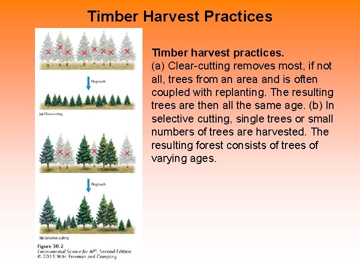 Timber Harvest Practices Timber harvest practices. (a) Clear-cutting removes most, if not all, trees