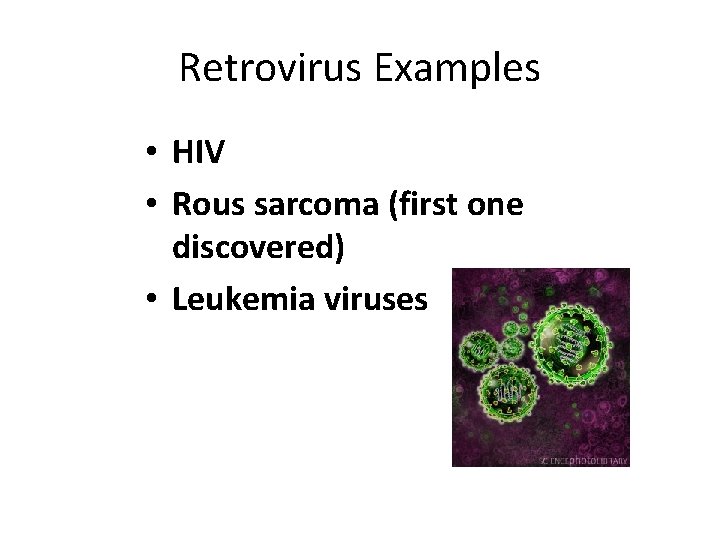 Retrovirus Examples • HIV • Rous sarcoma (first one discovered) • Leukemia viruses 
