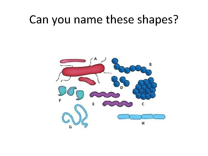 Can you name these shapes? 