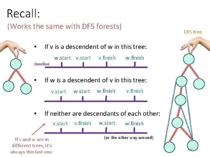 Recall: (Works the same with DFS forests) • If v is a descendent of