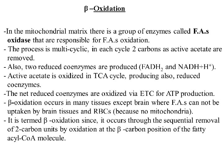 β –Oxidation 