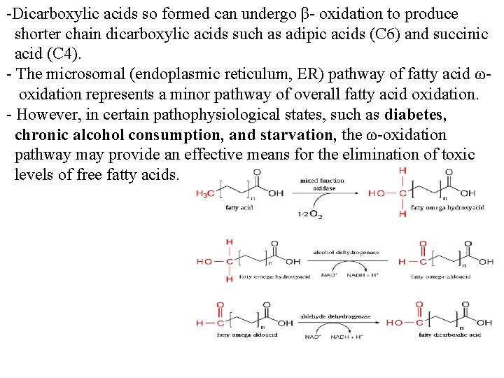 -Dicarboxylic acids so formed can undergo β- oxidation to produce shorter chain dicarboxylic acids
