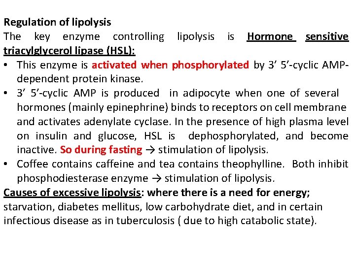 Regulation of lipolysis The key enzyme controlling lipolysis is Hormone sensitive triacylglycerol lipase (HSL):