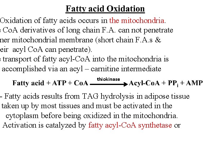 Oxidation of fatty acids occurs in the mitochondria. e Co. A derivatives of long
