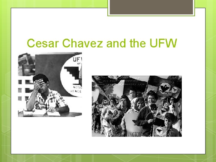 Cesar Chavez and the UFW 