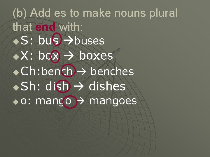 Singular Nouns and Plural Nouns Year 4 Unit