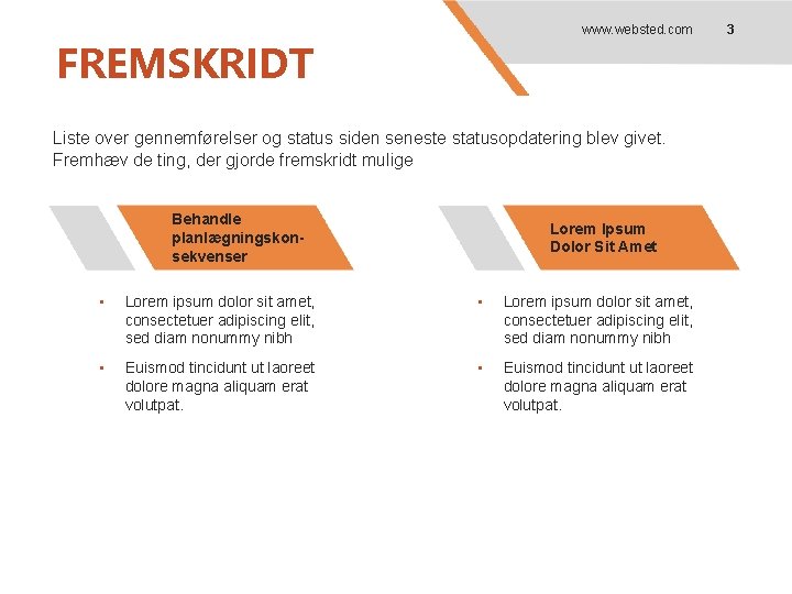 www. websted. com FREMSKRIDT Liste over gennemførelser og status siden seneste statusopdatering blev givet.