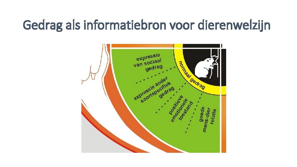 Gedrag als informatiebron voor dierenwelzijn 