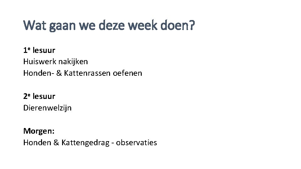 Wat gaan we deze week doen? 1 e lesuur Huiswerk nakijken Honden- & Kattenrassen