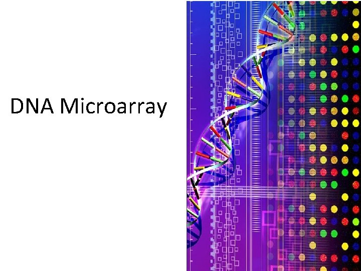 Microarray DNA Microarray 