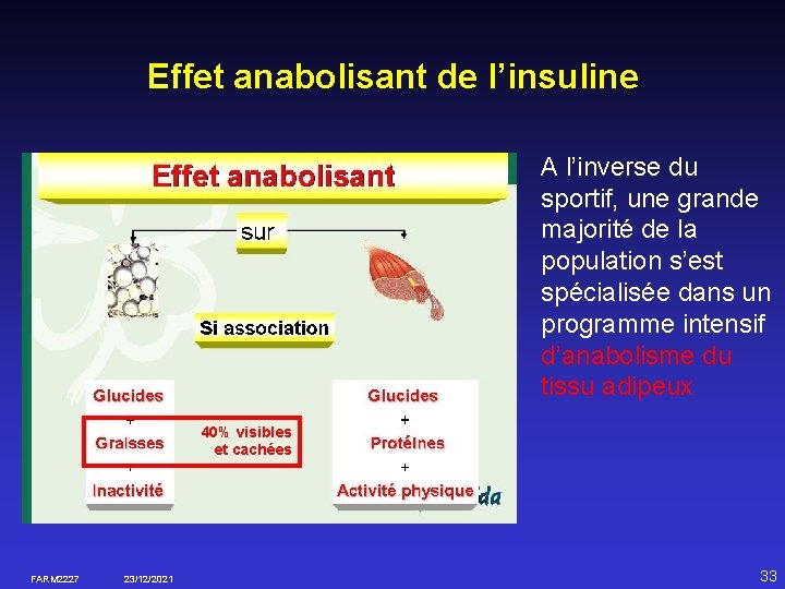 Effet anabolisant de l’insuline A l’inverse du sportif, une grande majorité de la population