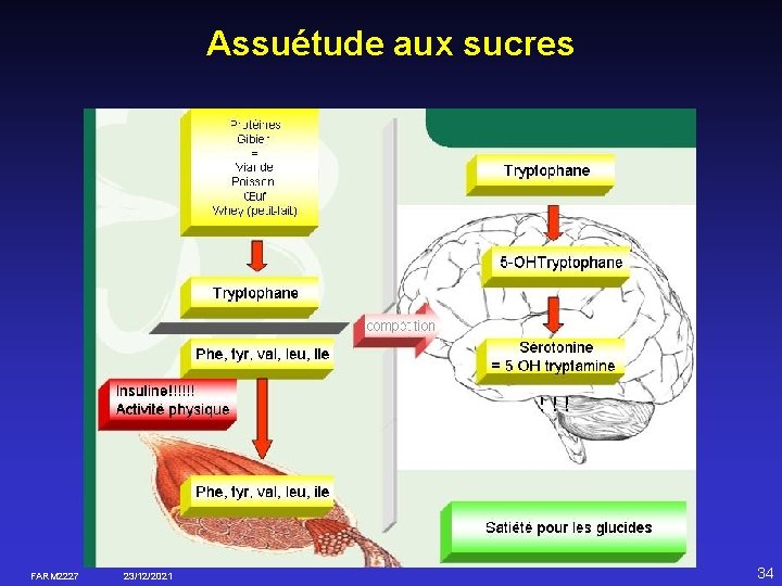 Assuétude aux sucres FARM 2227 23/12/2021 34 