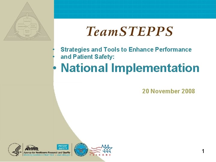  • Strategies and Tools to Enhance Performance • and Patient Safety: • National
