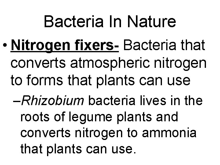 Bacteria In Nature • Nitrogen fixers- Bacteria that converts atmospheric nitrogen to forms that Bacteria In Nature • Nitrogen fixers- Bacteria that converts atmospheric nitrogen to forms that