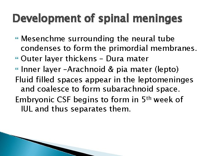 Development of spinal meninges Mesenchme surrounding the neural tube condenses to form the primordial