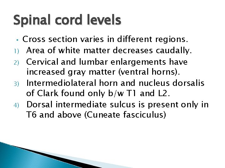 Spinal cord levels • 1) 2) 3) 4) Cross section varies in different regions.