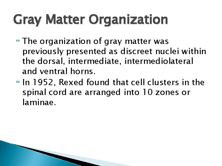 Gray Matter Organization The organization of gray matter was previously presented as discreet nuclei