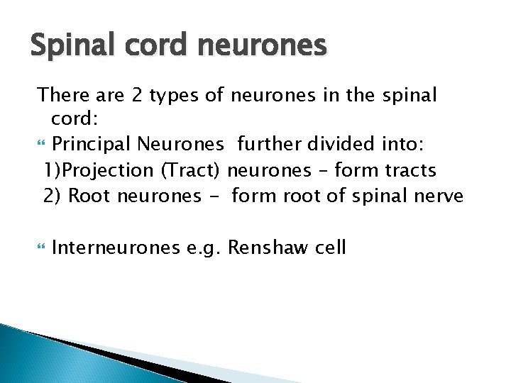 Spinal cord neurones There are 2 types of neurones in the spinal cord: Principal