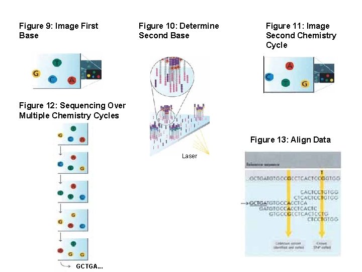 Figure 9: Image First Base Figure 10: Determine Second Base Figure 11: Image Second