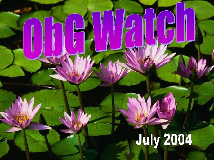Next Ob. G Watch 2004 
