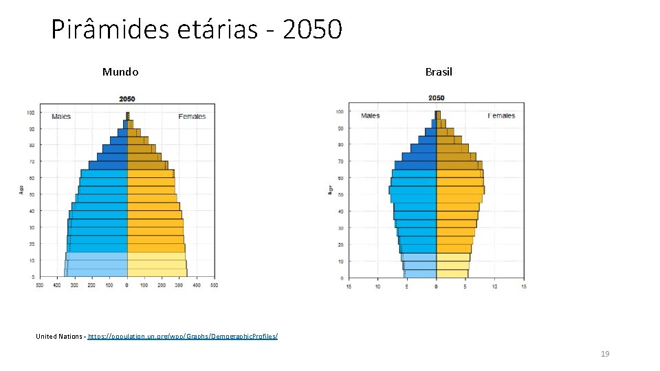 Pirâmides etárias - 2050 Mundo Brasil United Nations - https: //population. un. org/wpp/Graphs/Demographic. Profiles/
