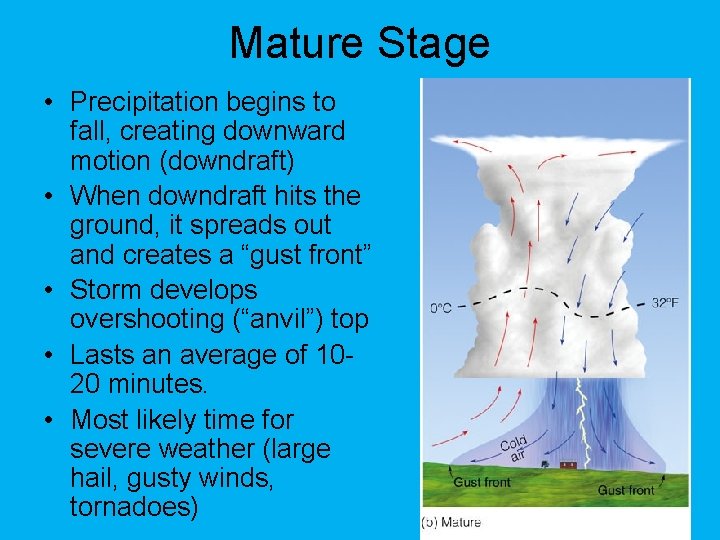 Mature Stage • Precipitation begins to fall, creating downward motion (downdraft) • When downdraft