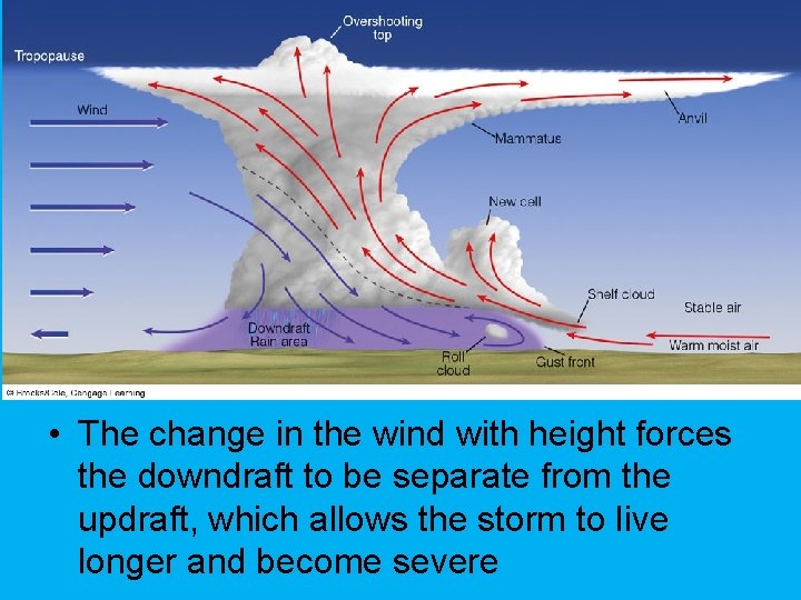  • The change in the wind with height forces the downdraft to be