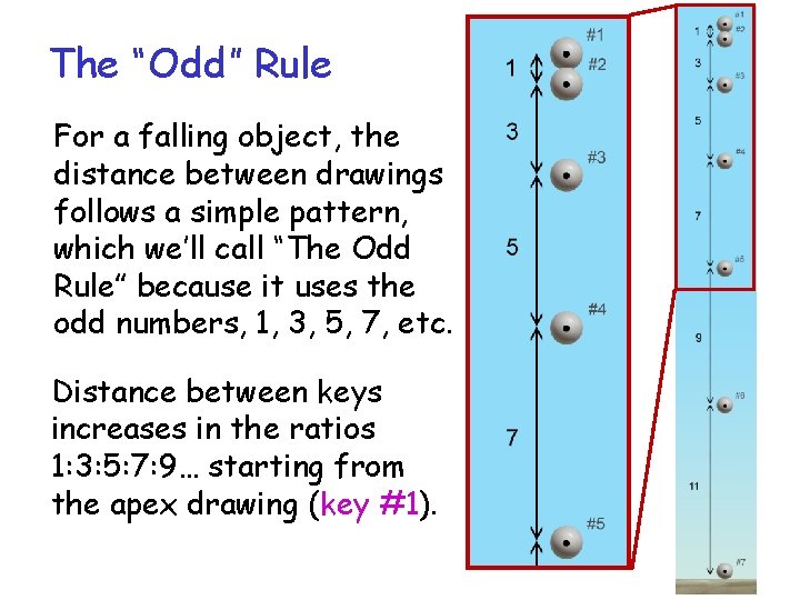 The “Odd” Rule For a falling object, the distance between drawings follows a simple The “Odd” Rule For a falling object, the distance between drawings follows a simple