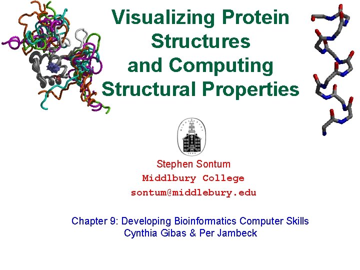 Visualizing Protein Structures and Computing Structural Properties Stephen