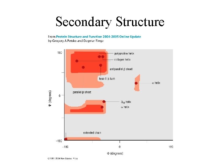 Visualizing Protein Structures and Computing Structural Properties Stephen