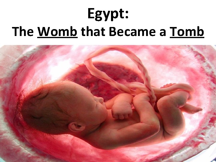 Egypt: The Womb that Became a Tomb 