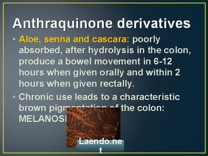 Anthraquinone derivatives • Aloe, senna and cascara: poorly absorbed, after hydrolysis in the colon,