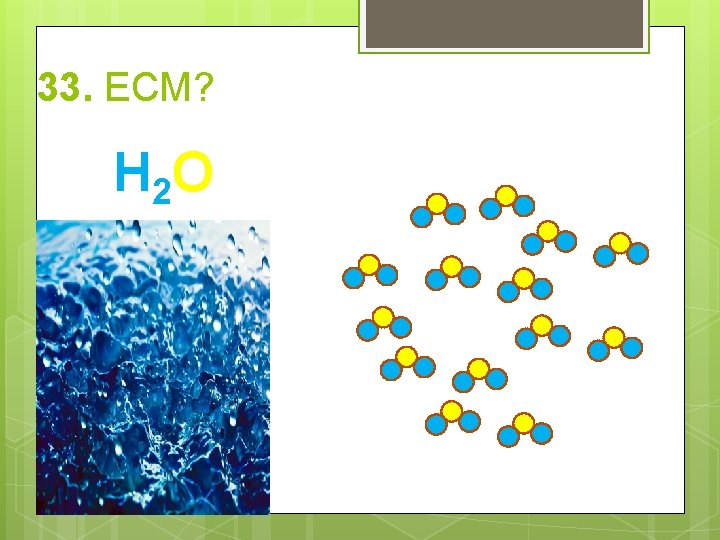 33. ECM? H 2 O 