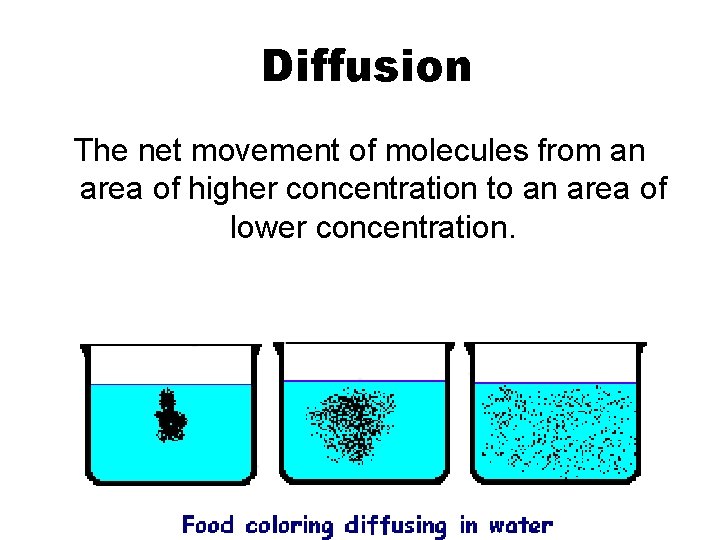 Diffusion The net movement of molecules from an area of higher concentration to an