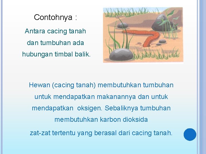 Contohnya : Antara cacing tanah dan tumbuhan ada hubungan timbal balik. Hewan (cacing tanah)