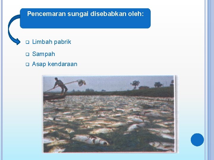 ØPencemaran sungai disebabkan oleh: q Limbah pabrik q Sampah q Asap kendaraan 