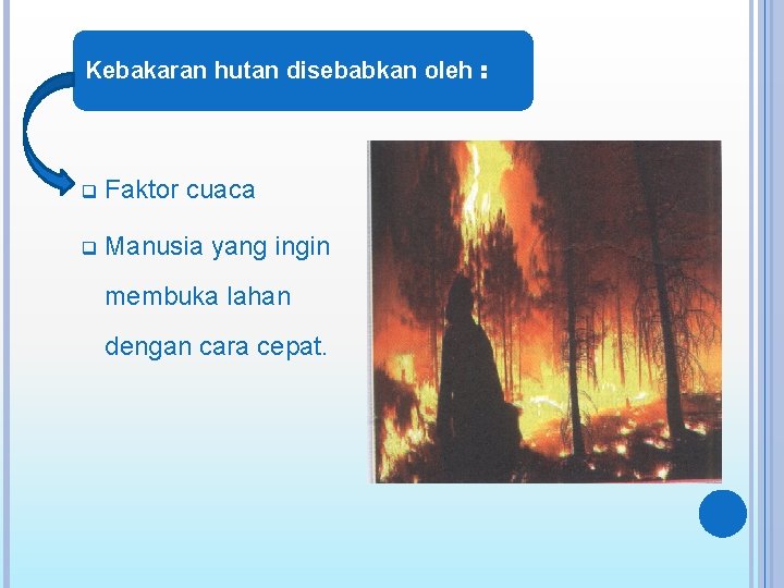 Kebakaran hutan disebabkan oleh : q Faktor cuaca q Manusia yang ingin membuka lahan