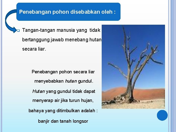 Penebangan pohon disebabkan oleh : q Tangan-tangan manusia yang tidak bertanggung jawab menebang hutan