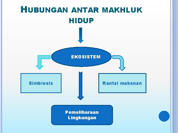 HUBUNGAN ANTAR MAKHLUK HIDUP EKOSISTEM Simbiosis Rantai makanan Pemeliharaan Lingkungan 