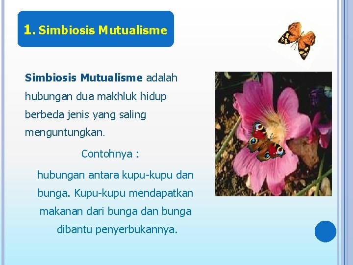 1. Simbiosis Mutualisme adalah hubungan dua makhluk hidup berbeda jenis yang saling menguntungkan. Contohnya